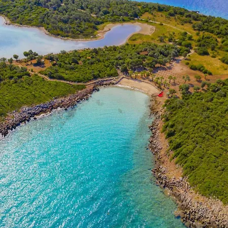Club Pineta Hotel